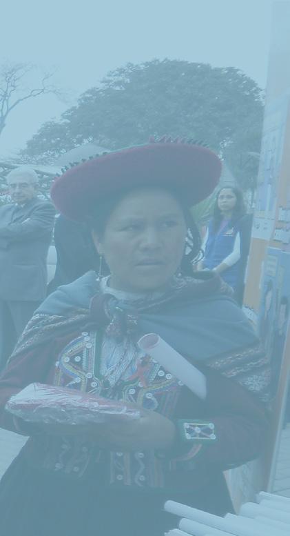 el Perú Indicadores de la vigilancia