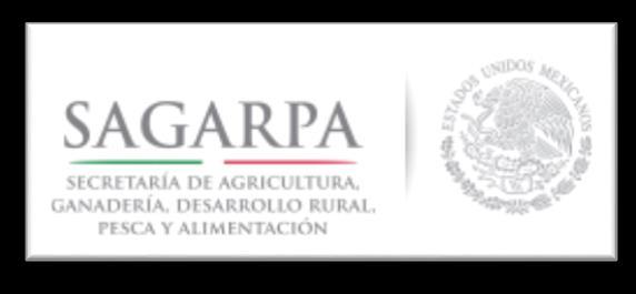 Agradecimientos: A la SAGARPA que con su apoyo económico a hecho posible el desarrollo de nuevas