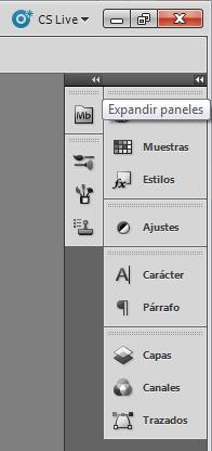 El Panel Control muestra opciones específicas de la herramienta seleccionada en el momento. El panel de control también se conoce como la barra de opciones en Photoshop.