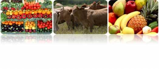 Informe Semanal de Comportamientos de Precios de los principales productos Agropecuarios