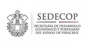 La Secretaría se integra por una Subsecretaría; el Consejo Estatal de Mejora de la Actividad Económica y Empresarial; seis Direcciones; Representaciones de Zonas; y, Áreas Administrativas.