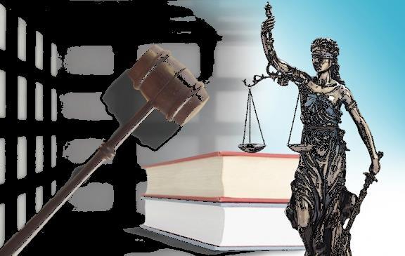 Litigació penal LITIGACIÓ PENAL: guia