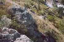 III.4.-PELIGRO POR CAÍDA DE BLOQUES La roca de la ladera occidental del cerro El Toro es una riolita, con textura vitrocristalina y en parte con fragmentos de roca riolítica.