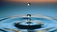 la clorofila (Mg 2+ ) Agua Gases Son propiedades del agua: Gran