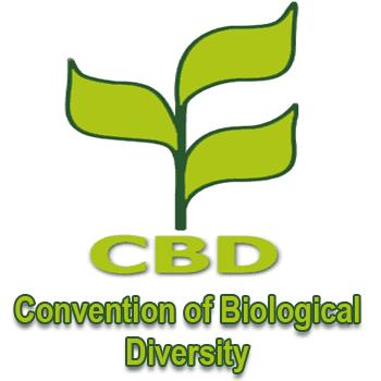 Convenio sobre la Diversidad Biológica (CDB) Entró en vigor el 29 de diciembre de 1993 Costa Rica 1994 Objetivos principales: La conservación de la diversidad biológica La utilización sostenible de