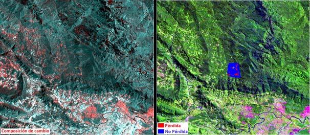FIGURA 11 Composición de cambio y creación de áreas de entrenamiento para la clasificación de Pérdida y No pérdida de bosques amazónicos Izquierda: la