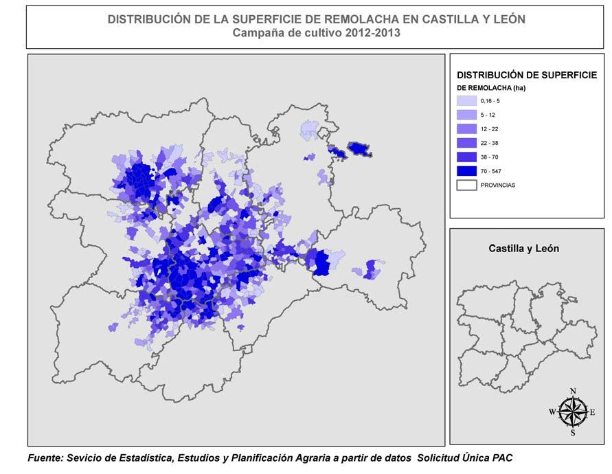 A continuación se muestra un mapa con la distribución de la superficie sembrada de remolacha por municipios en el año 2013 en Castilla y León, a partir de los datos de la Solicitud Única PAC.