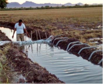 Materiales y métodos El trabajo se desarrolló en el Distrito de Riego 076 Valle del Carrizo, Sinaloa, durante el ciclo primavera-verano 2015, sustentado en parámetros de suelo y