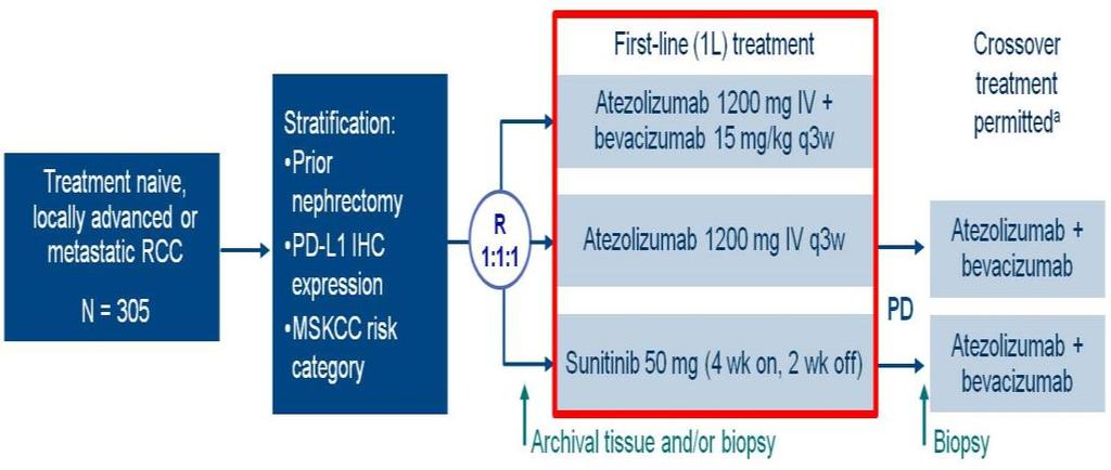 Atezolizumab + Bevacizumab