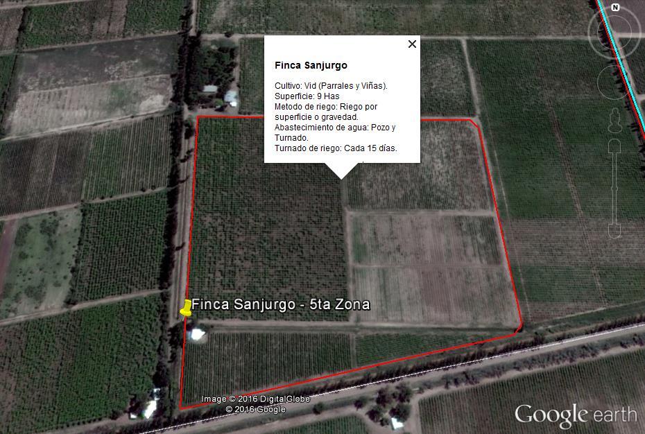 Evaluación de Riego por Melgas Cultivo: Vid - Parral Fecha: 02/11/2016 Finca: Sanjurgo Ubicación: Distrito decosta de Araujo, 5 zona de Riego, Lavalle - Mendoza. Coordenadas: 32 46'58.81" 68 25'6.