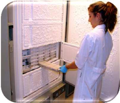 Conservación y transporte de muestras Conservación y transporte de muestras Las muestras