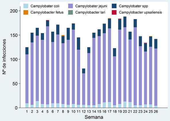 Figura 3. Distribución por semana epidemiológica y agente de las infecciones por Campylobacter spp. Sistema de Información Microbiológica.