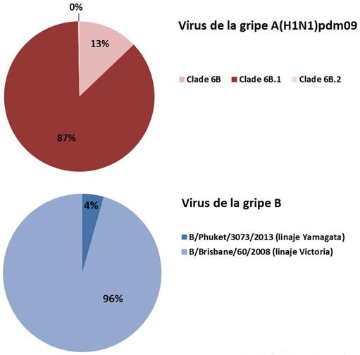 podido notar una mayor contribución del virus B. El porcentaje de positividad de las muestras centinelas ha estado por encima del 4% de la semana 1/216 a la 16/216.