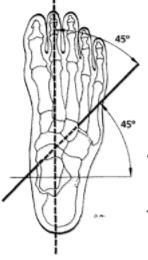 15 Los ángulos normales de los distintos movimientos del pie son los siguientes: Abducción-Aducción: 45º - 57º Ilustración 15. Aducción del pie (izq.) 