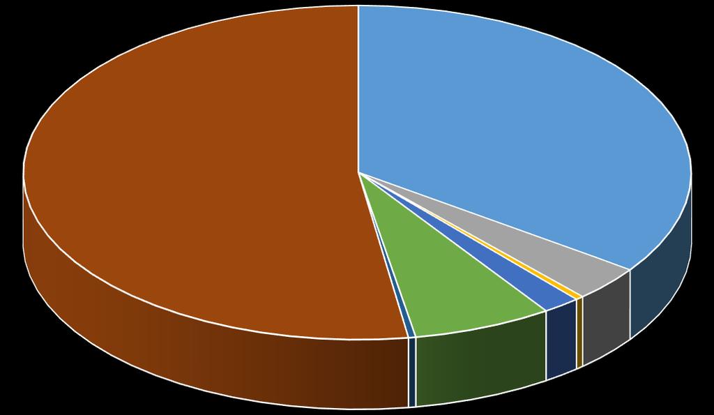 Provincial (ARICA) 0,35% Regional 52,39% Total 100,00% En Grafico N 10.
