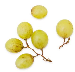 DESARROLLO DE MERCADO "Consolidar la presencia de la uva fresca en los mercados, fortalecer la agroindustria de la uva y el vino e impulsar su exportación en los mercados de la Unión Europea,