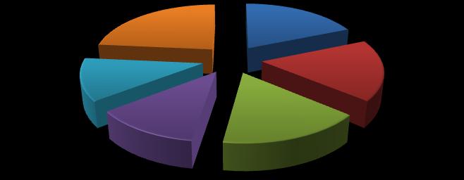 Grafica 10b. Rama empresarial 12% 24% 12% 19% 16% 17% Gráfica 10c.