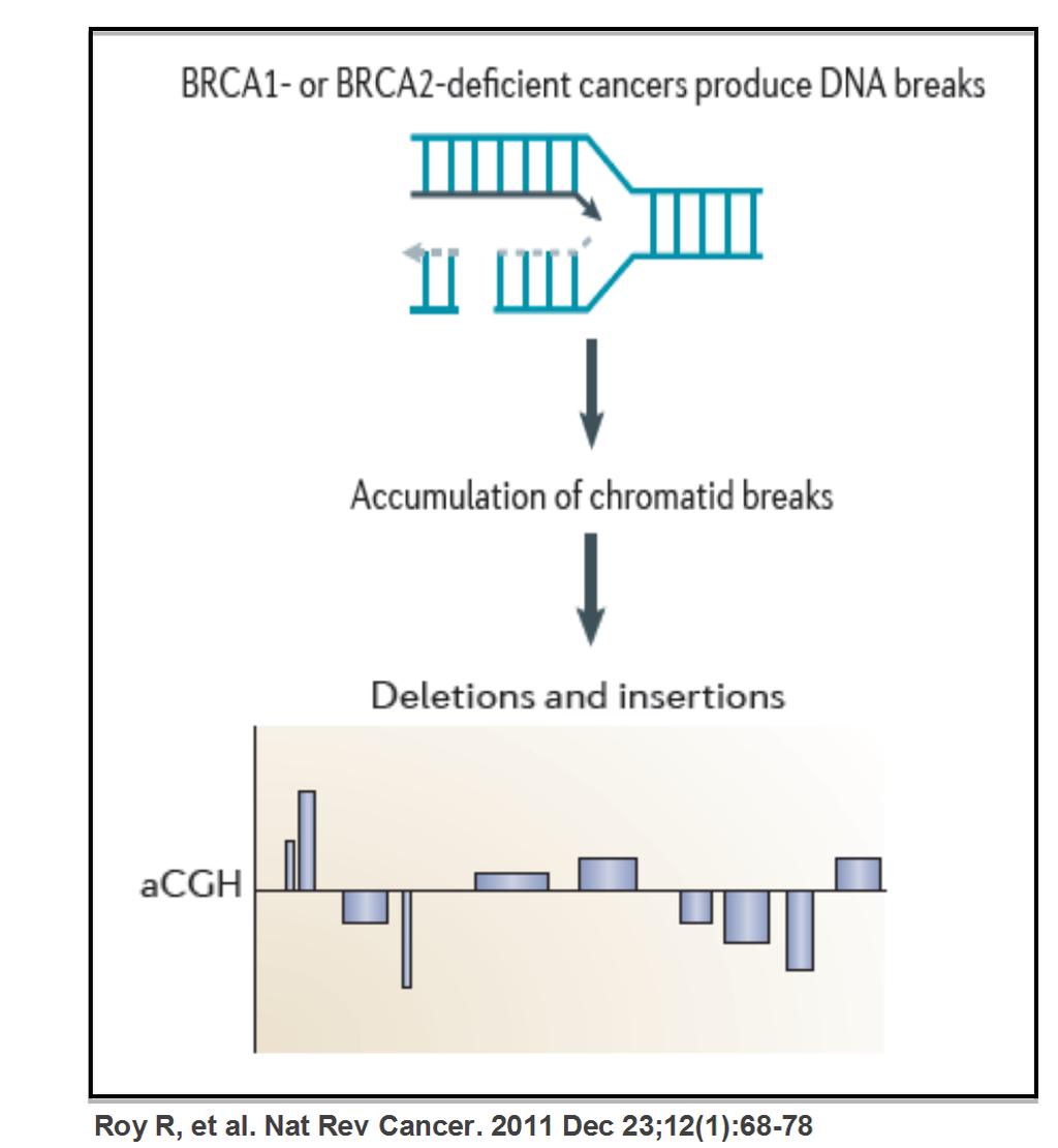 Cáncer de mama precoz triple negativo y derivados del platino: HR score (nº LOH regions of intermediate size > 1Mb and < whole chromosome in the tumor genome) Identifies non-brca 1/2 carriers with