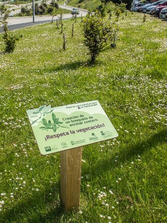 Colocación de señalización en zonas verdes Marzo, Como una parte más de las medidas en favor de la Biodiversidad y como complemento a las plantaciones y eliminación de flora