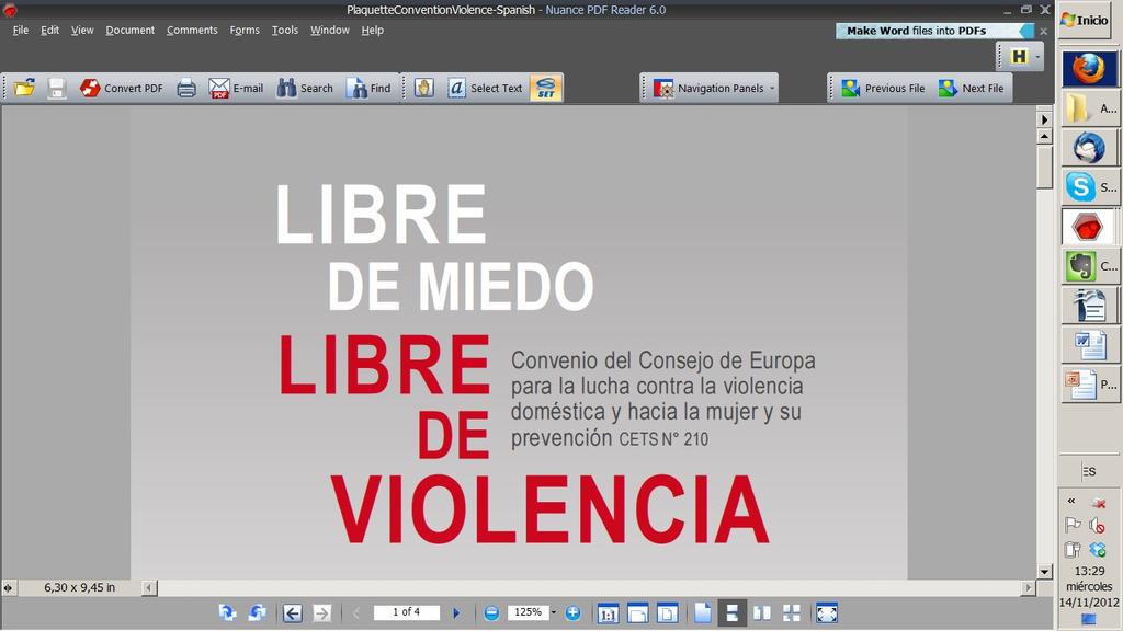 Javier Truchero Objetivo: erradicar la violencia, promover la igualdad VCM como violación de los derechos humanos y como forma de discriminación.