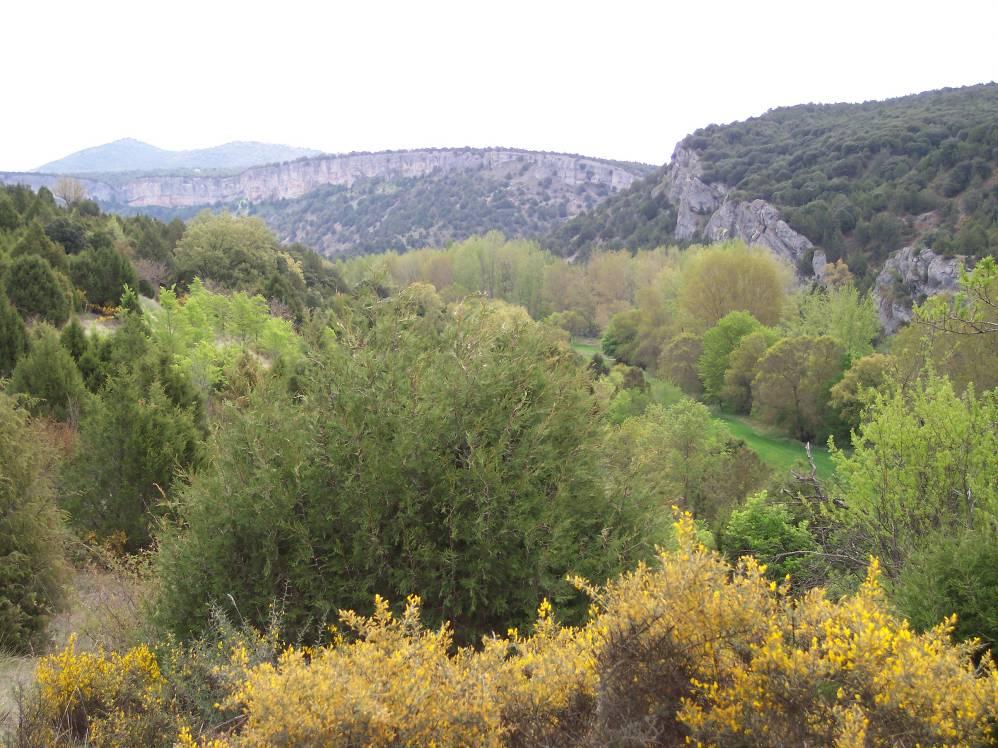 - Hoz del Arlanza, vista hacia el este, aguas arriba del monasterio de San Pedro de Arlanza.