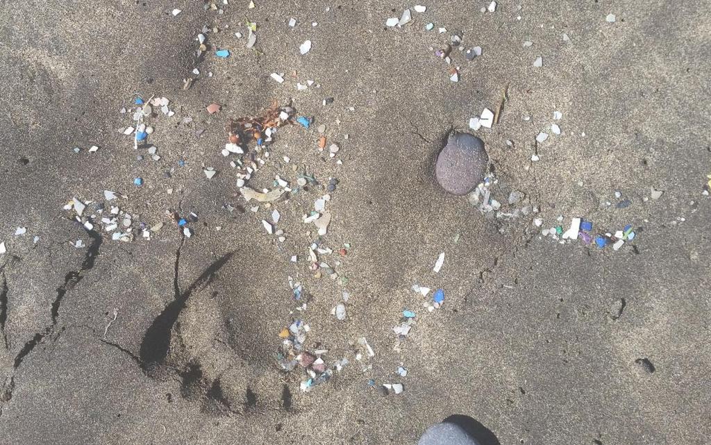Fuente: Programa de seguimiento de basuras marinas en playas (MAPAMA) Descriptor 10 Basuras marinas «Las propiedades y las cantidades de desechos marinos no resultan nocivas para el medio litoral y