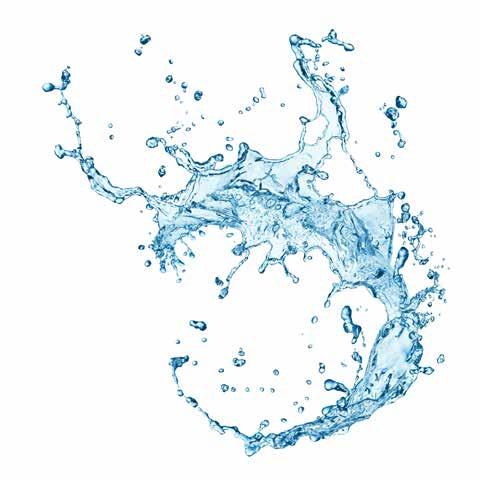 Aquashot Sentí el agua en tu piel. CUERPO LIMPIEZA LIMPIEZA $ 470 $ 245 $ 365 $ 410 Crema Facial Hidratante Crema liviana que ayuda a recuperar, equilibrar y mantener los niveles de hidratación.