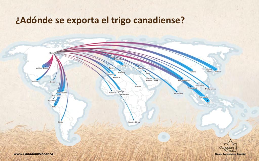 El trigo canadiense se exporta a todo el mundo. Este cuadro de Chatham House demuestra qué tan lejos llega el trigo canadiense. No hay muchos lugares del mundo que no importan trigo canadiense.