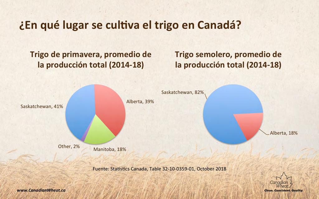 La mayoría del trigo primaveral de Canadá se produce en las tres provincias de las praderas: Manitoba, Saskatchewan y Alberta. Saskatchewan produce más del 41% del trigo primaveral cul>vado en Canadá.