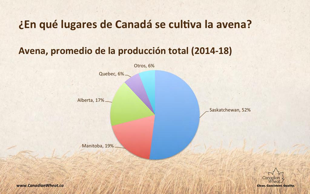 La provincia de Saskatchewan produce más de la mitad de la avena cul>vada en Canadá.