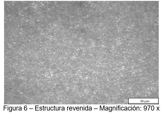 martensítica magnificación 970 x CENTRO