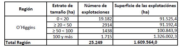 Productores de hortalizas Como se menciona anteriormente, la superficie destinada a la horticultura en Chile al 2016, es de 69.845 hectáreas.