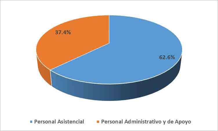 Gráfico 3 Distribución del RRHH según condición laboral. CS Apoyo Palpa Fuente: Unidad de Personal CS Apoyo Palpa.
