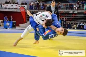 judo,
