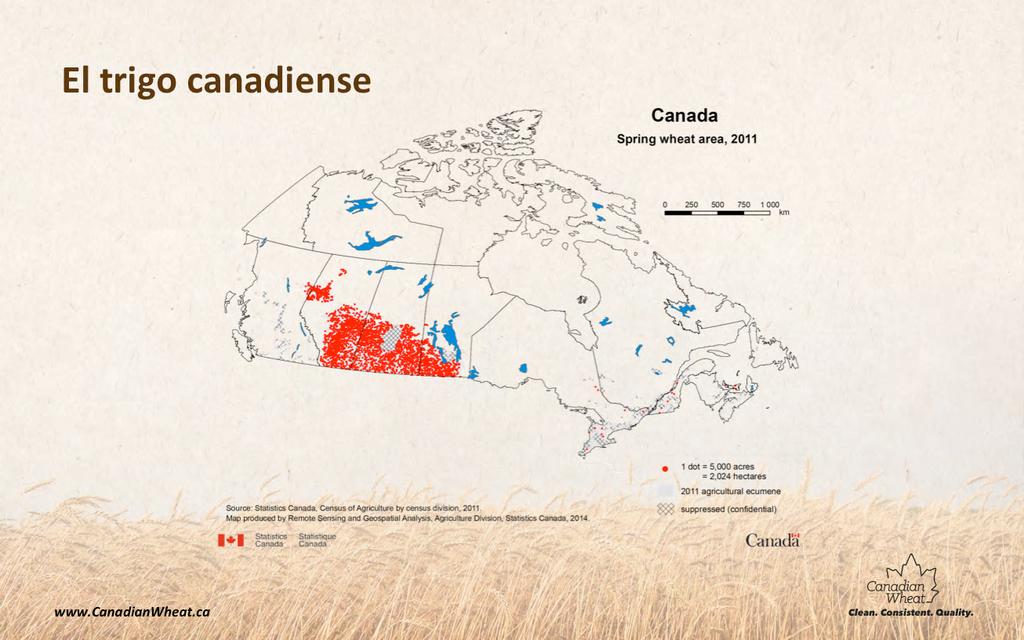 Este es un mapa de Canadá. Los puntos rojos muestran las áreas en las cuales se cul7va trigo en el país.