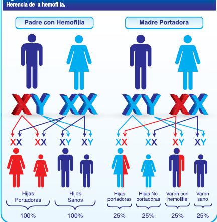 Herencia ligada al cromosoma X Todos los varones con la mutación expresan la condición Mujeres con dos cromosomas X, son heterocigotas Compensan el defecto del cromosoma X con