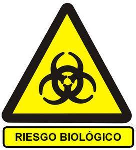 RIESGO BIOLÓGICO El riesgo biológico ocupacional se puede definir como aquel que surge de la exposición laboral a micro y macroorganismos