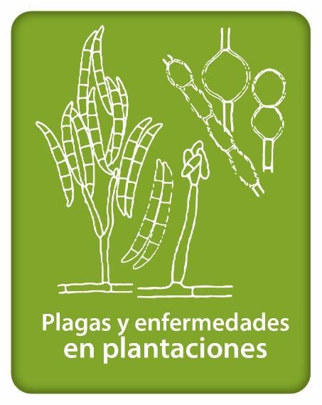 4. Plagas y enfermedades en plantaciones forestales Coordinador: Biol.