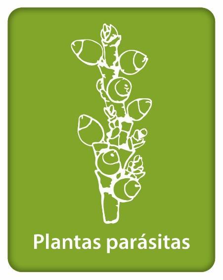 7. Plantas parásitas Coordinador: Dr.