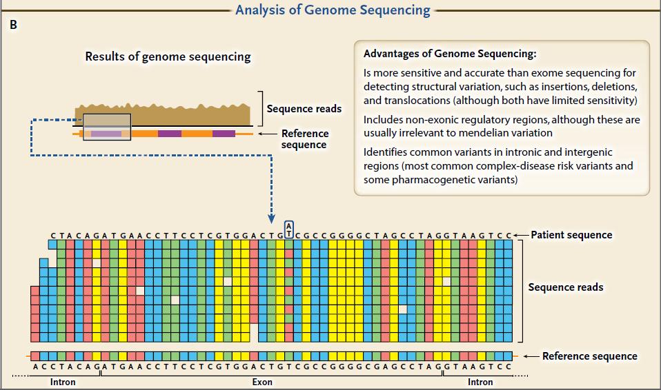 EXOMA vs GENOMA COMPLETO Biesecker et al (2014).