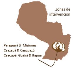 Paraguay Fecha de Firma: Abril de 2014 Superficie actúal: 11.000 ha (2016-2017) Número de Productores: 53.438 fincas algodoneras Rendimiento actúal: 1.