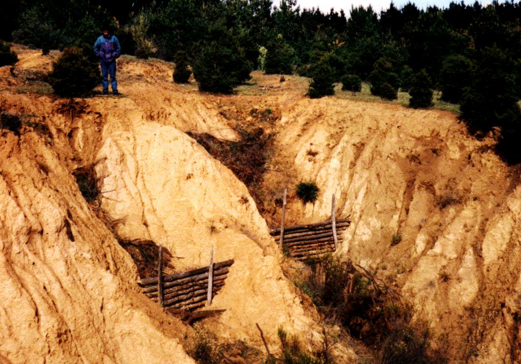 Cárcavas en suelo erosionado en 100%, IX Región