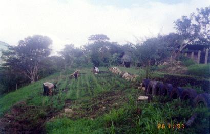 Prácticas agrícolas sustentables