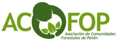 Organizaciones de apoyo Asociación de Comunidades Forestales de Petén -ACOFOP- Representa a las concesiones