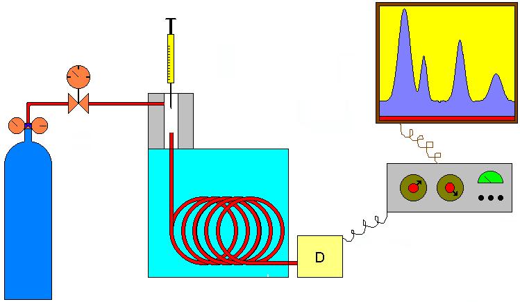 1 - Cilindro de Gas y Controles de Vacío / Presión. 2 - Inyector (Vaporizador) de Muestra. 3 - Columna Cromatográfica y Horno de Columna. 4 - Detector.