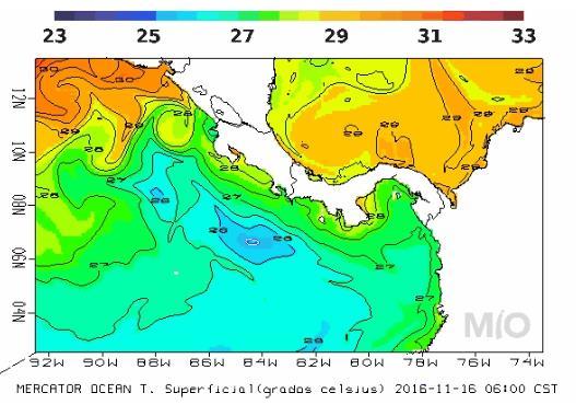 5 C esta semana, en el Pacífico Norte-norte se observa un afloramiento con temperaturas hasta de 27 C.