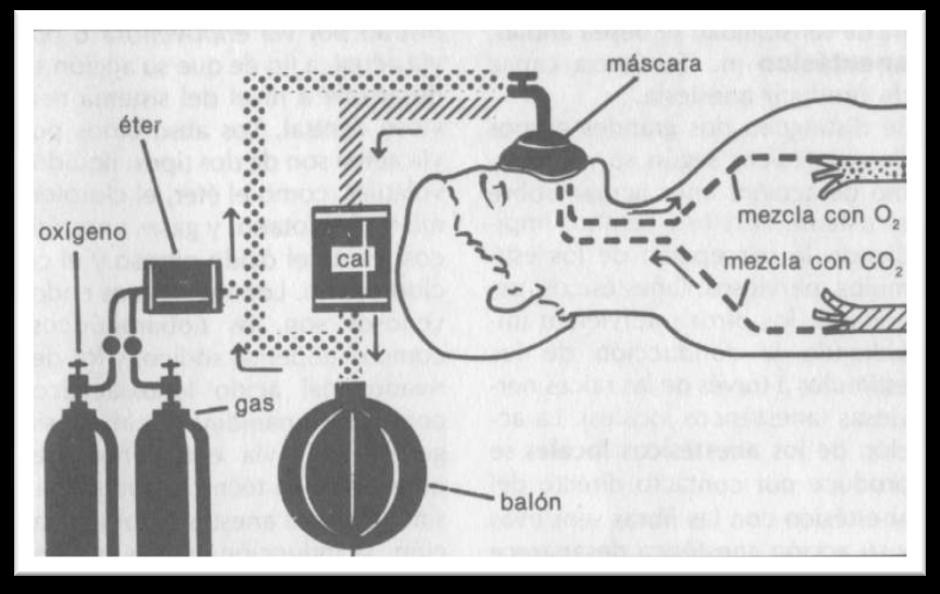 denominasemicerrado porque la válvula de sobrepresión permanece abierta pudiendo salirlos gases que han ingresado en el circuito. (Muir et al., 2001). 15.3 Circuito cerrado.