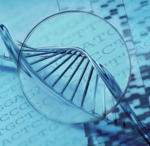 Cómo se secuencia el DNA? La reacción de secuenciación es comparable a una reacción de PCR donde se replica DNA.