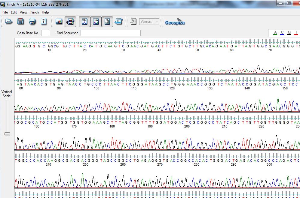 Fig R7 Cromatograma de secuenciación Sanger