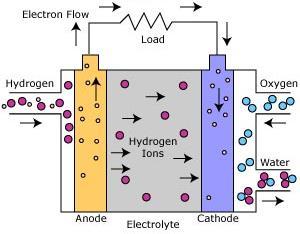 TECNOLOGÍA DE CELDAS DE COMBUSTIBLE PEM Componentes Combustible: hidrógeno puro Oxidante: oxígeno Electrolito: membrana sólida de